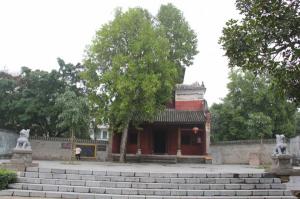 Yangmei Ancient Town View